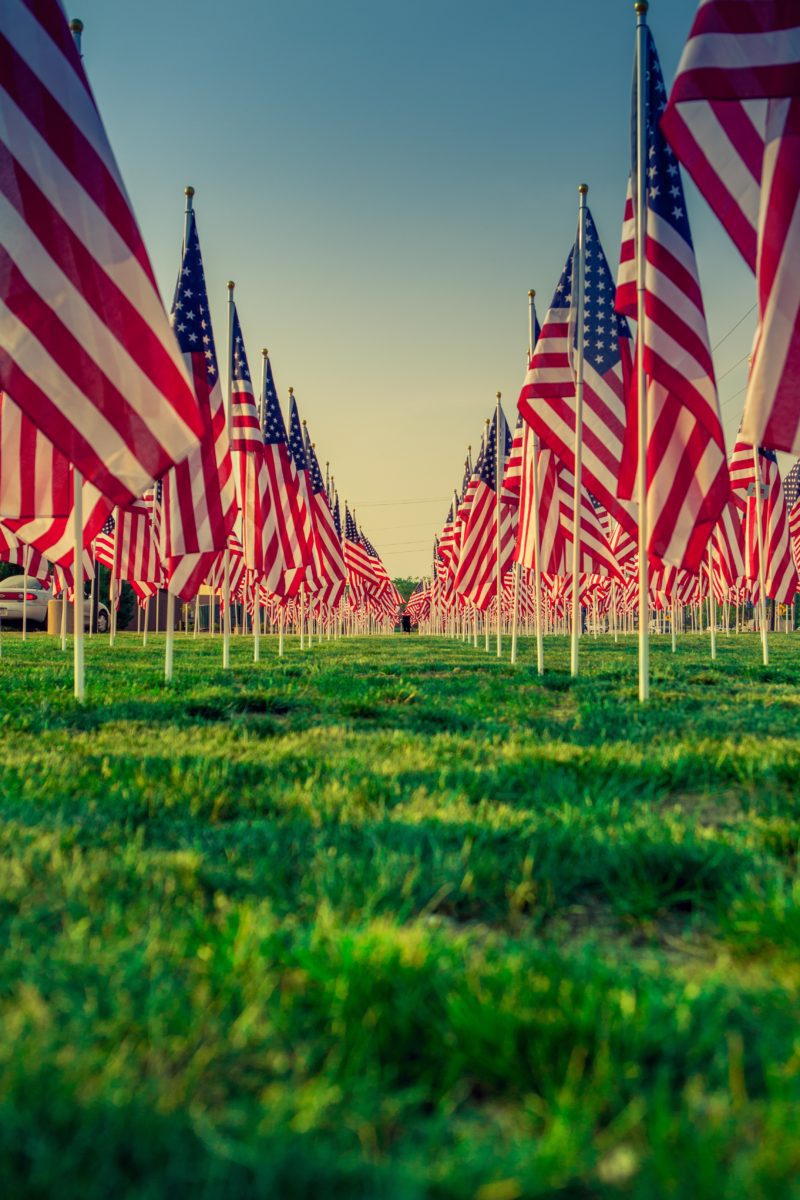 American flags in a grassy field.